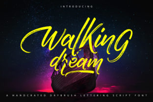 Walking Dream Font: A Practical Evaluation for Designers